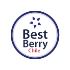 Best Berry Chile